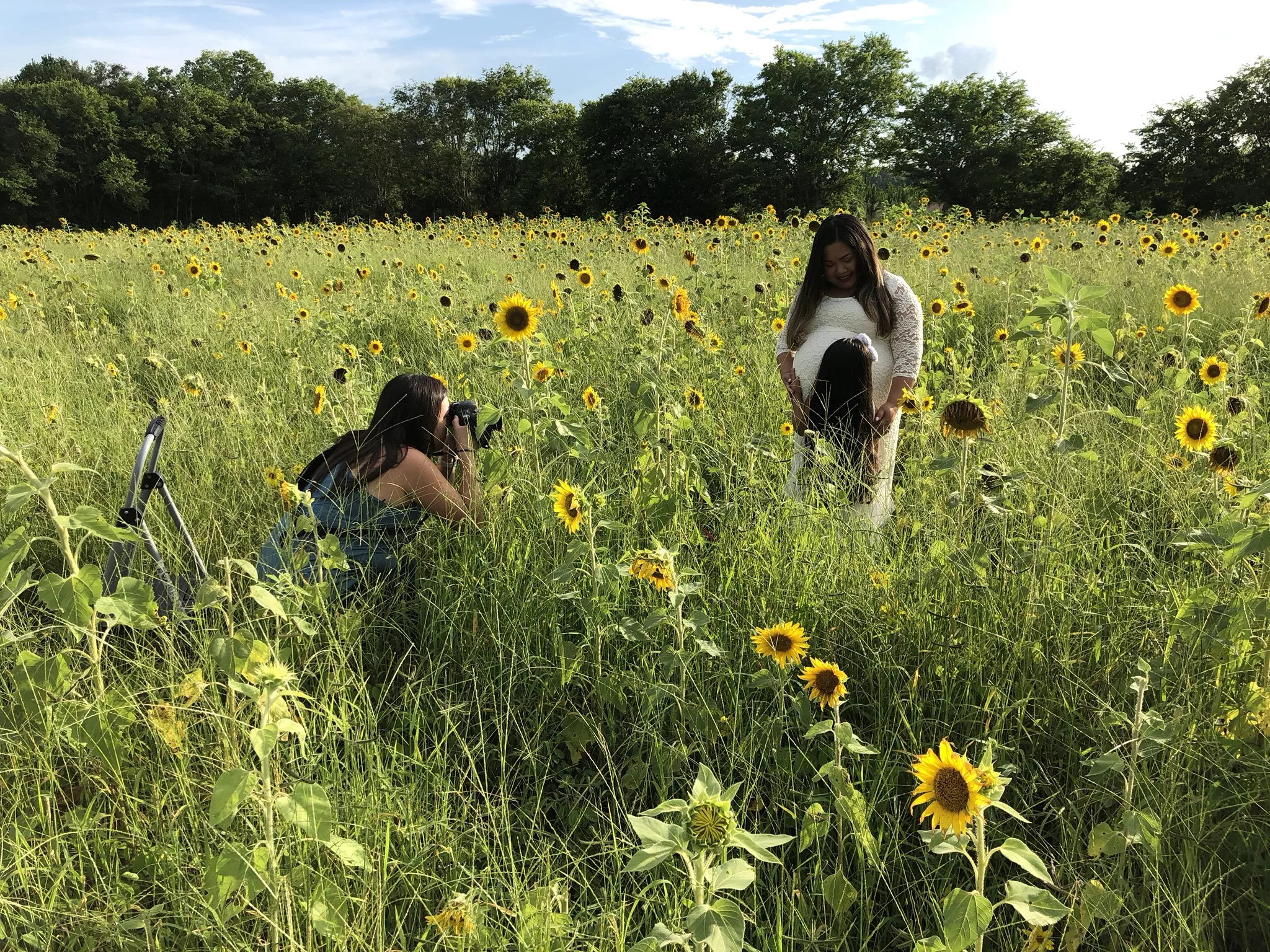 Sunflower Field Maternity Session