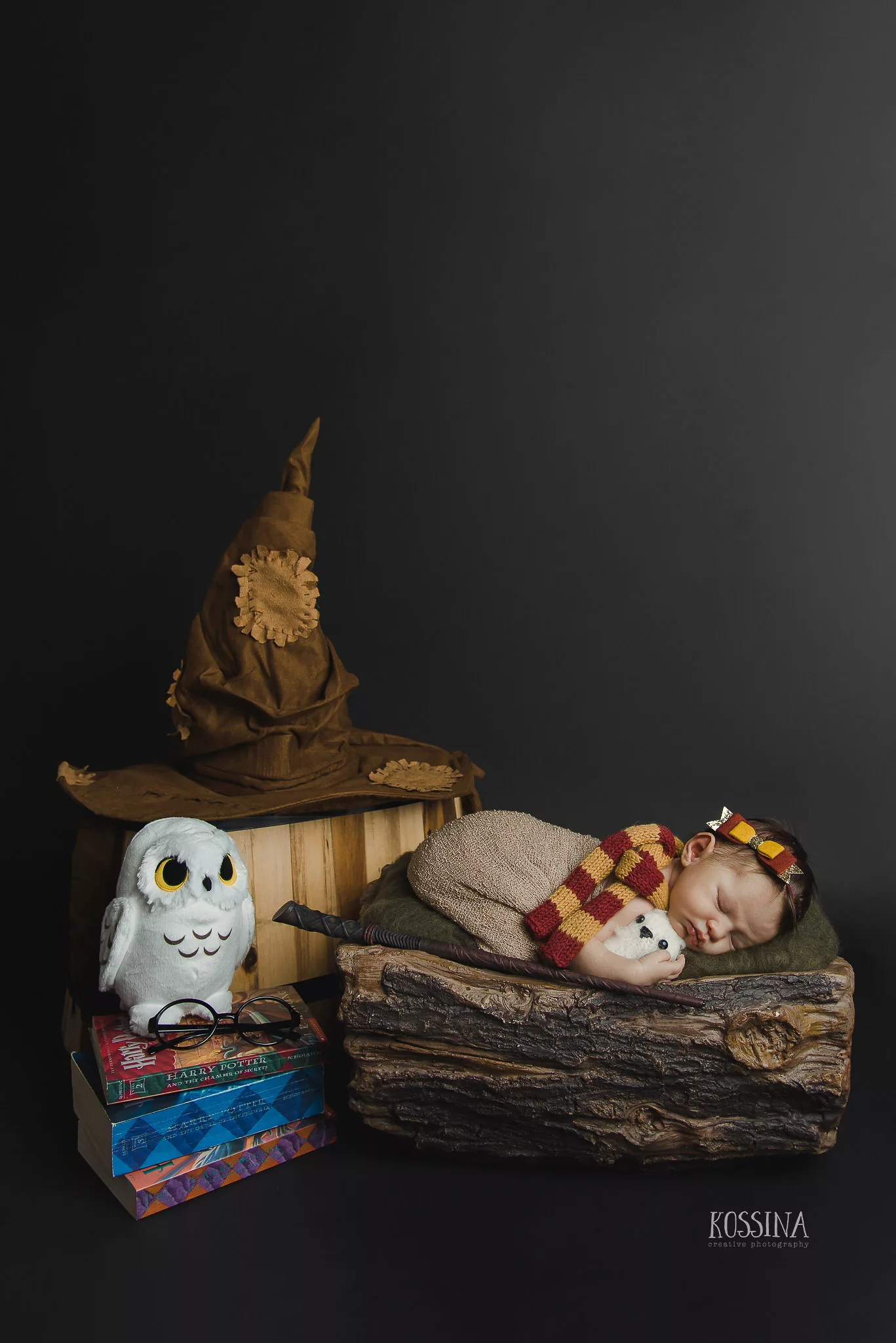 Harry Potter Newborn Photo