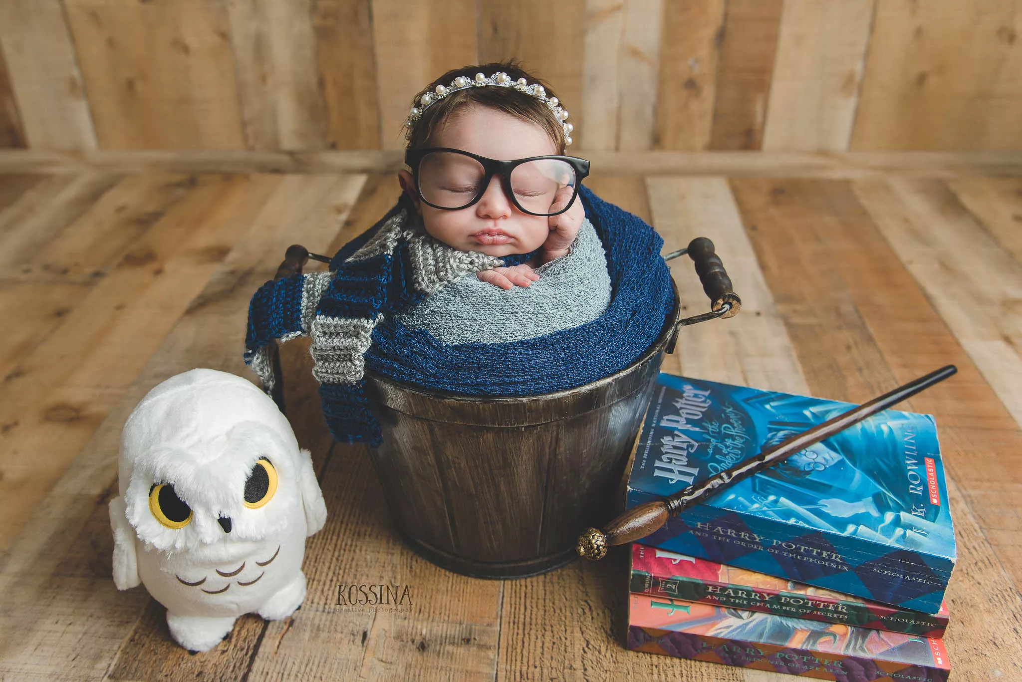 Ravenclaw Harry Potter Newborn Photo