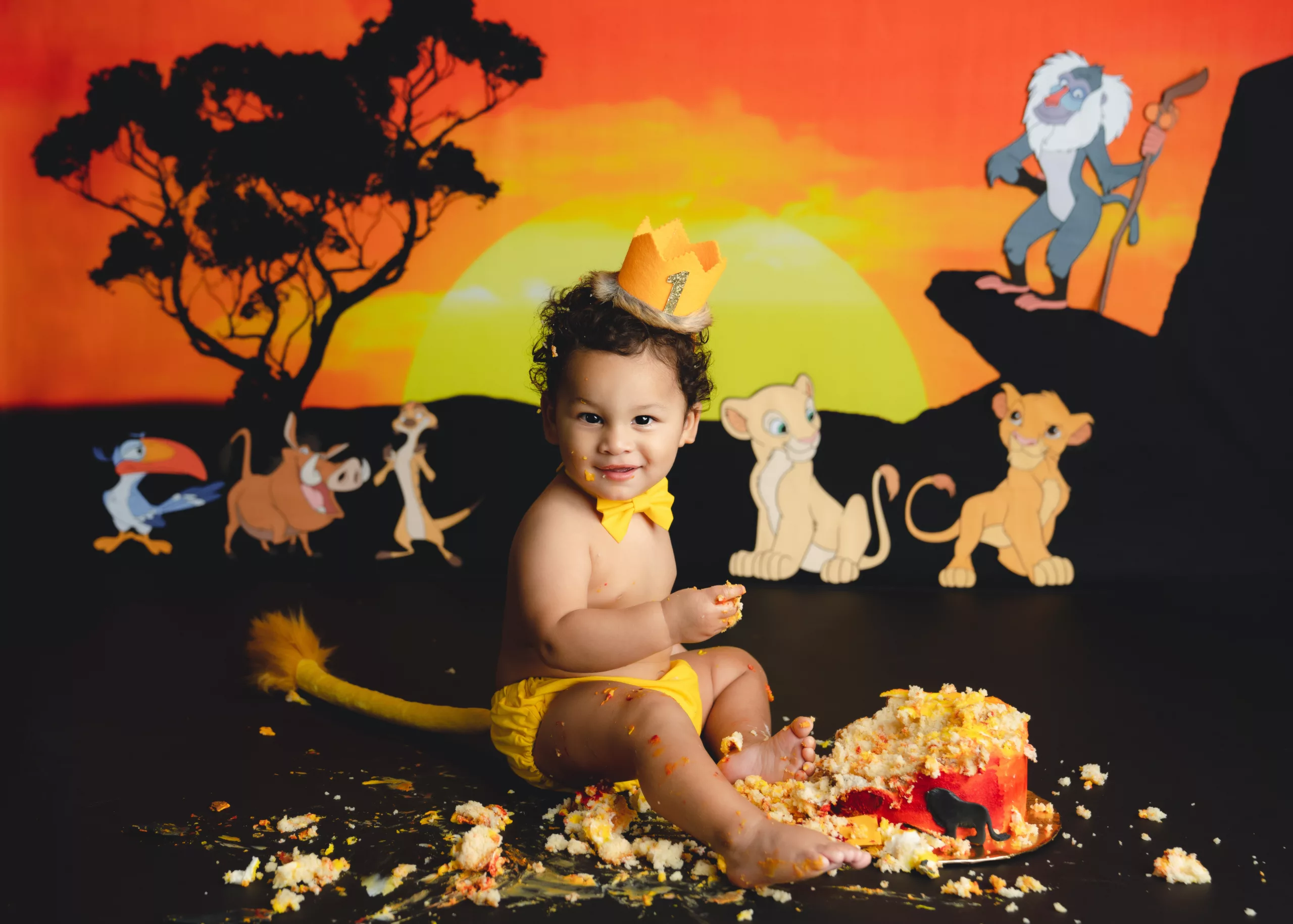 Orlando Boy Cake Smash 1st Birthday Photographer Photo Studio disney the lion king simba nala timon pumba and rafiki