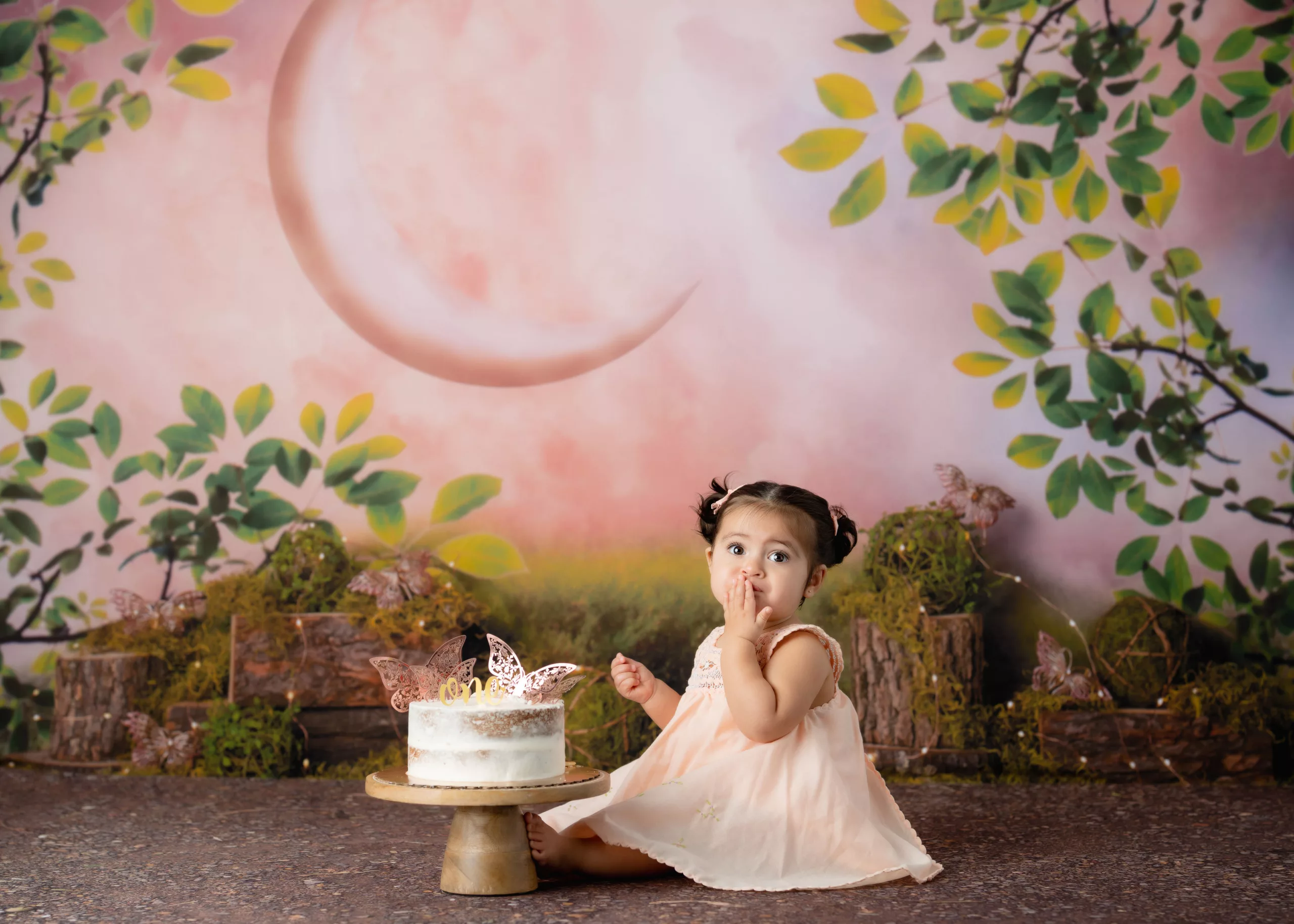Orlando Girl Cake Smash 1st Birthday Photographer Photo Studio fairy garden moon pink green wood dirt