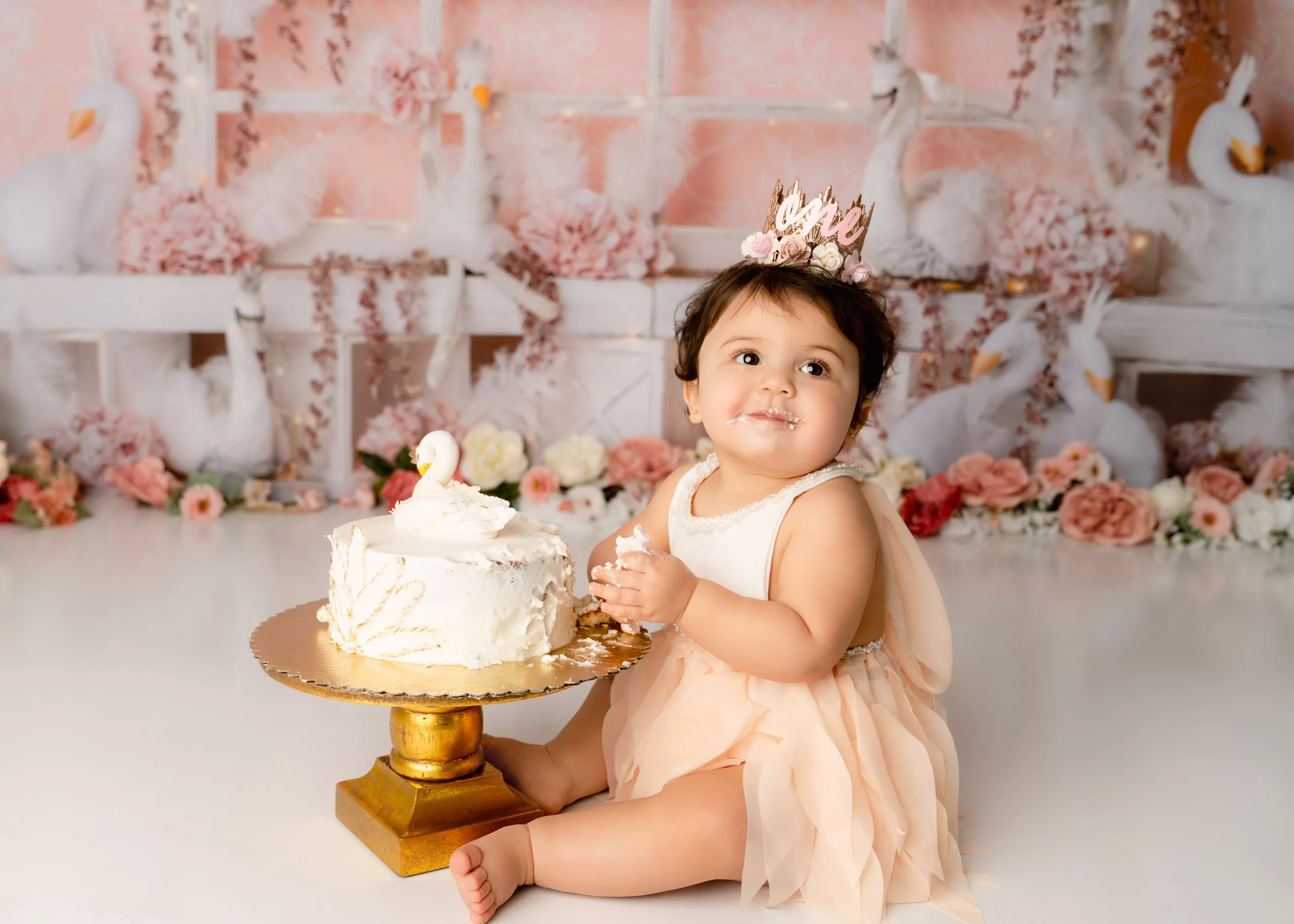 Orlando Girl Cake Smash 1st Birthday Photographer Photo Studio swan princess flowers crown cream pink white