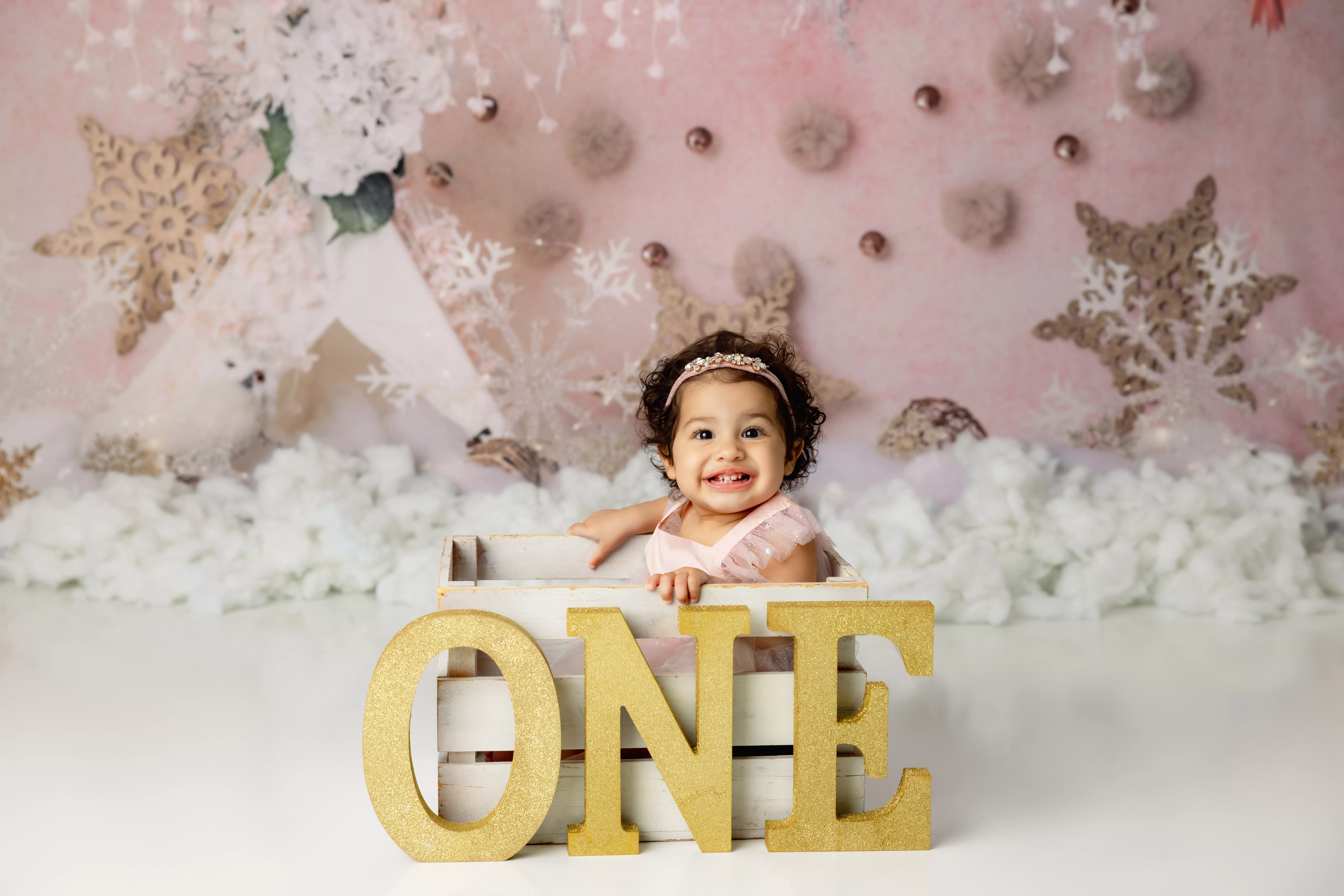 Orlando Girl Cake Smash 1st Birthday Photographer Photo Studio winter onederland snowflakes gold white pink one letters crate christmas