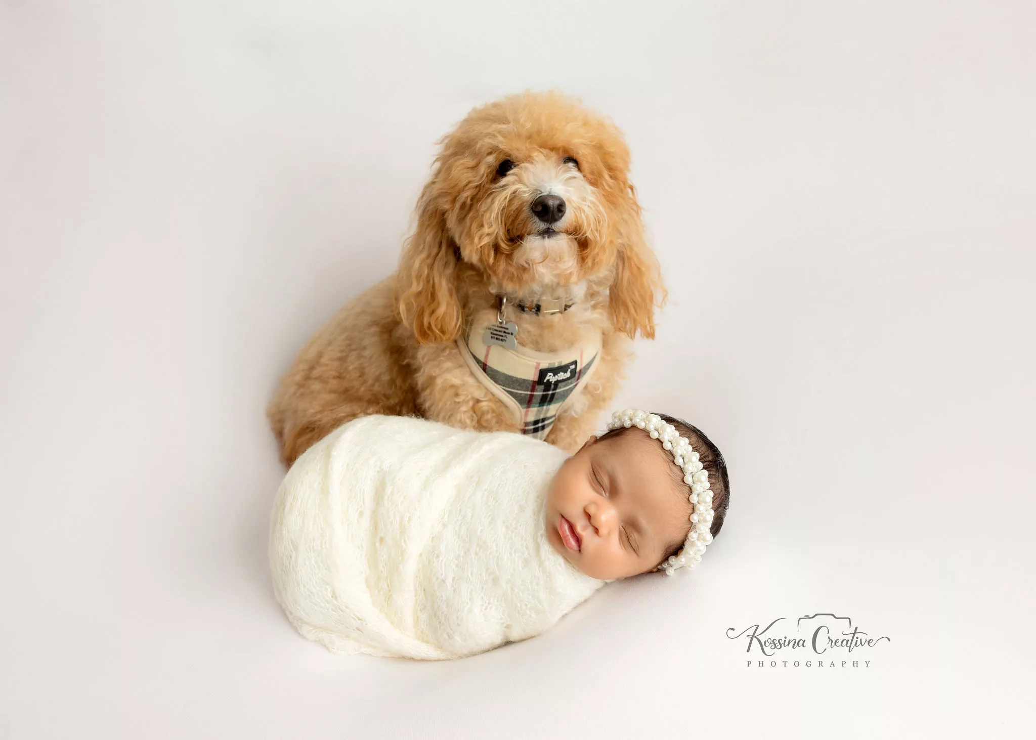 Orlando Newborn Photographer Baby Girl Photo studio white on white baby with puppy dog